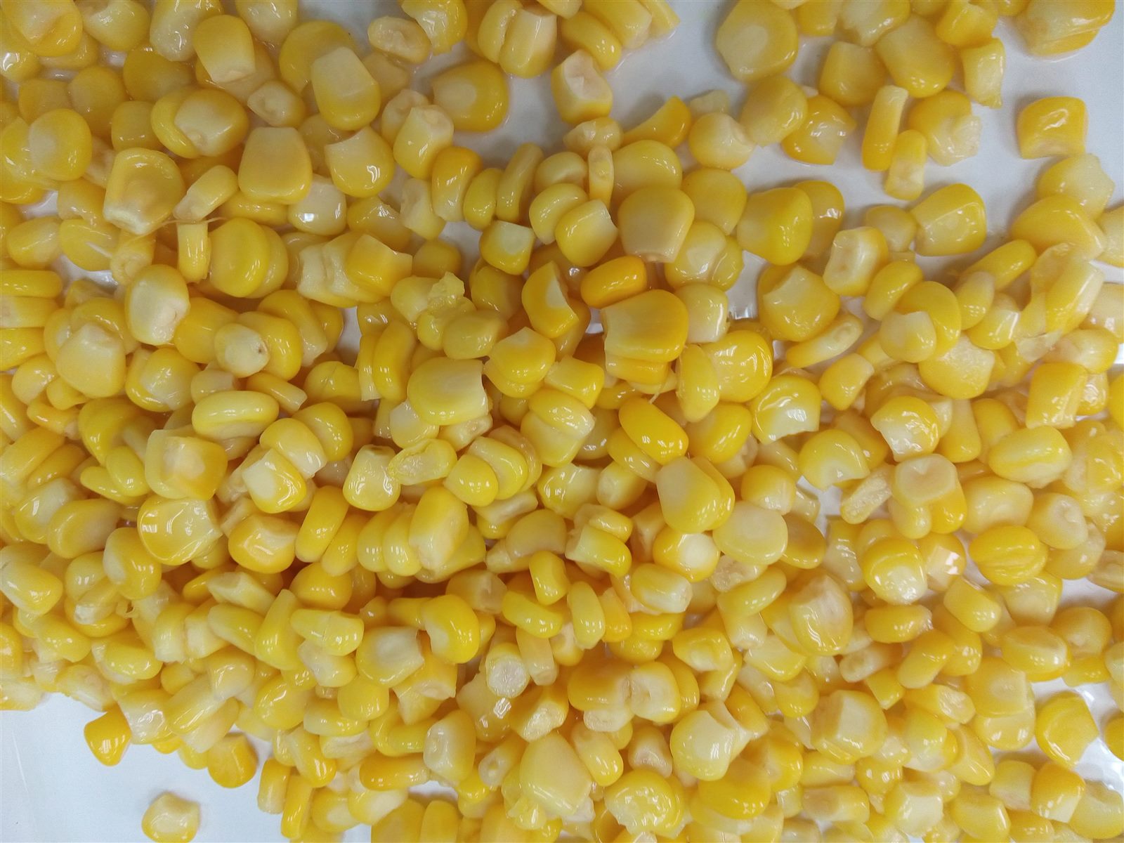 Whole Kernel Sweet Corn Whole Kernel Sweet Corn